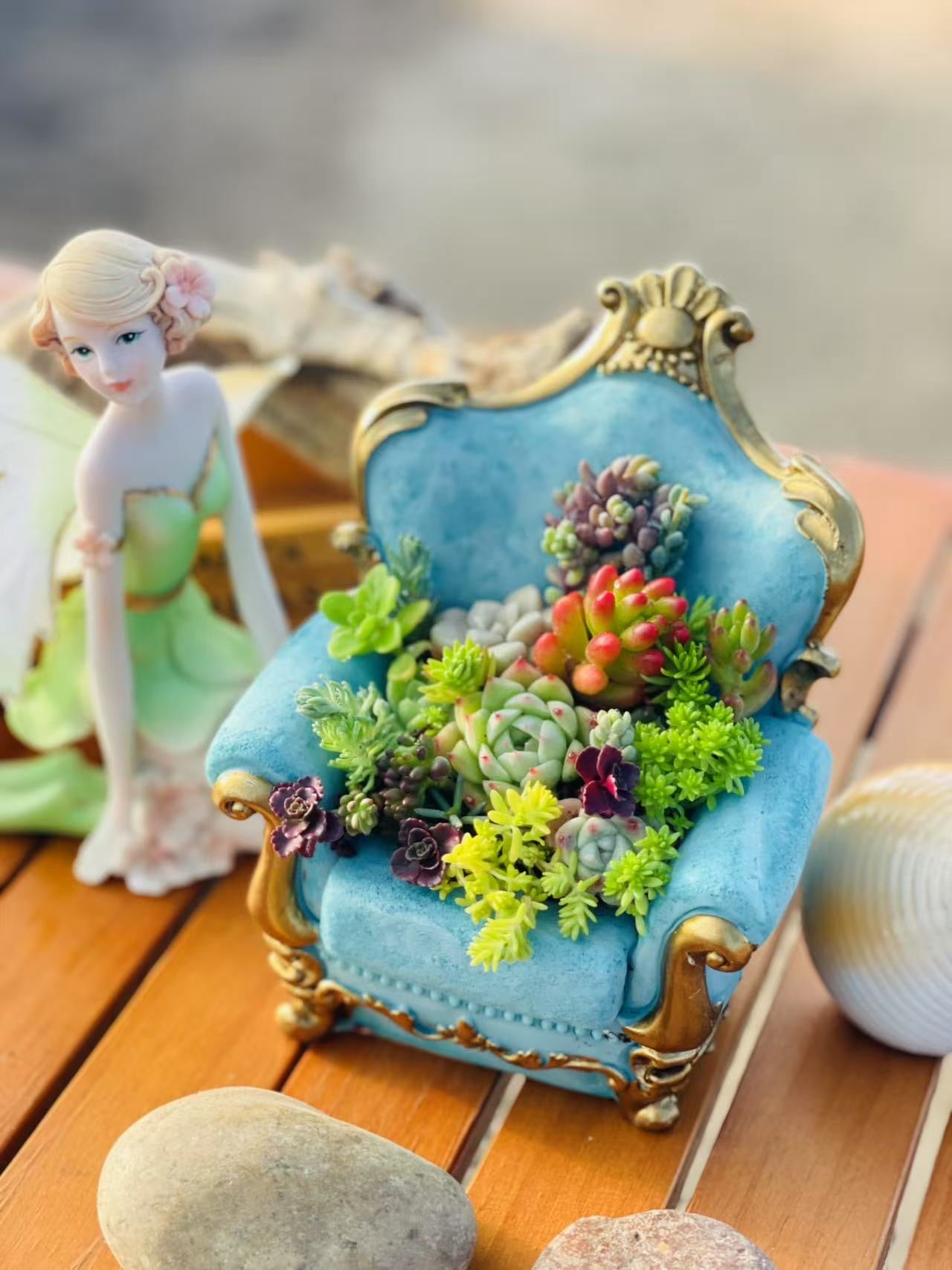 Bonsai Garden Succulents